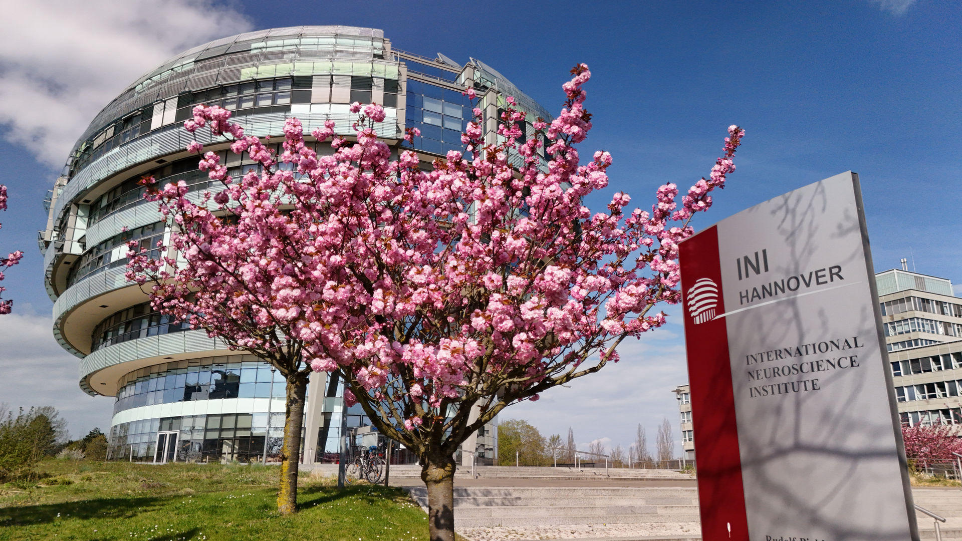 International_Neuroscience_Institute_INI
