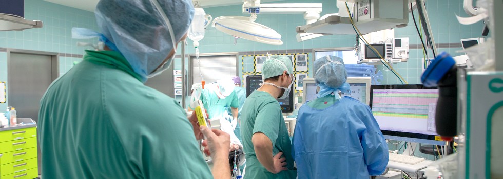 anae_personal2_980x350