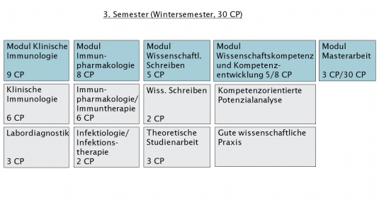 3. Semester Master Immunologie