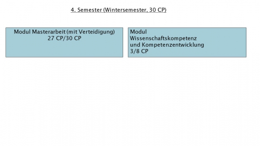 4. Semester Master Immunologie