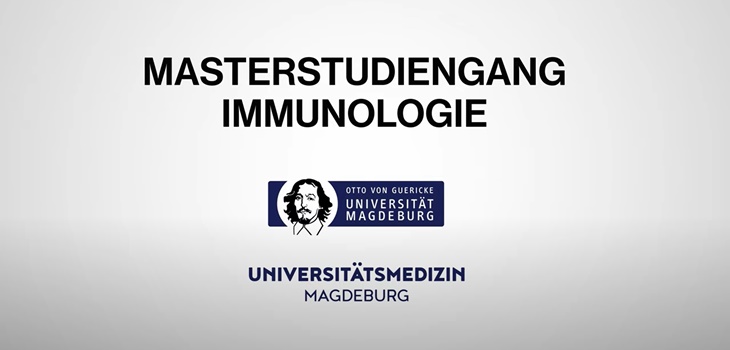Studiengangsaufbau und Karrierechancen 