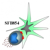 SFB-Logo