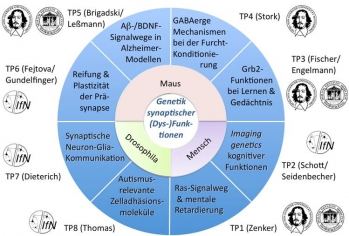 Grafik-Leßmann1