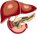 Pankreas_Logo Pankreas_Logo