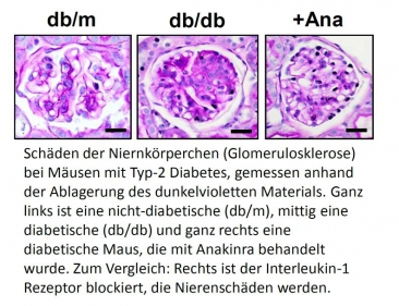 Shahzad Bock Dong et al