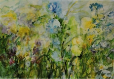 Die Augen der Natur MZB