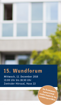 Bild_15.Wundforum