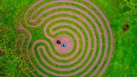 Labyrinth-Foto Magdeburger Film- und Video-Amateure.bmp