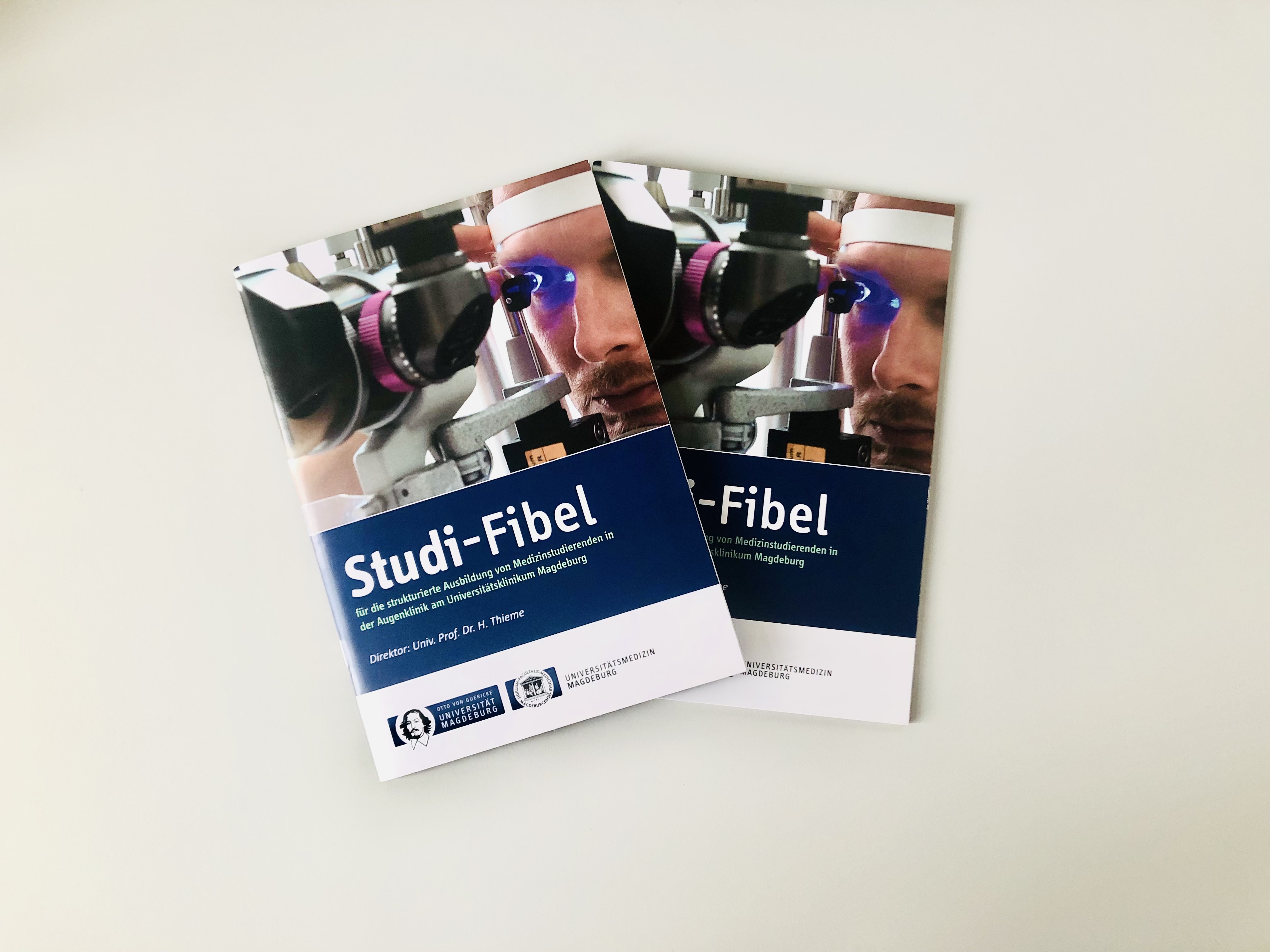 studifibel