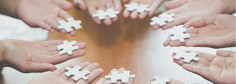 Teamwork © Tinnakorn  - stock.adobe