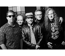 Band 