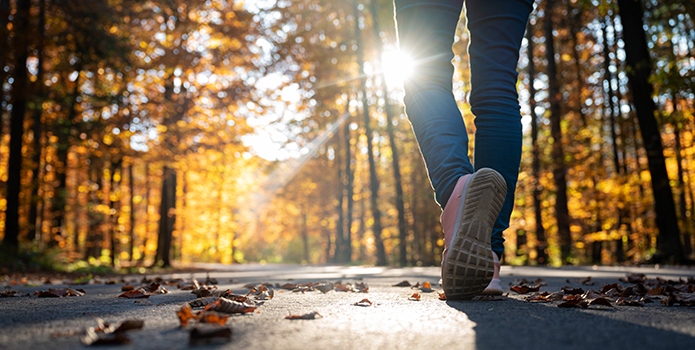 Auswertung der UMMD Schritte Challenge