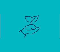 Icon Pflanze in einer Hand