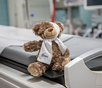 Trost-Teddy