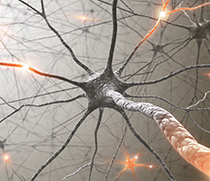 Darstellung einer Synapse