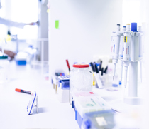 Immunologie