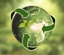 Porzellan statt Plastik 