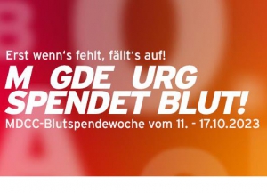 Bild zur Meldung