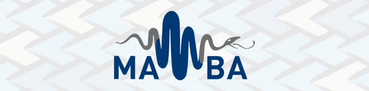 MAMBA Skillslab Logo