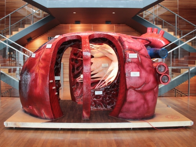 Foto Begehbares Herz