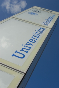 Ulrich Arendt-Stele 2009