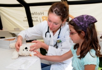 Teddyklinik 2011 (Foto: Elke Lindner)