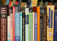 Bücher MZB