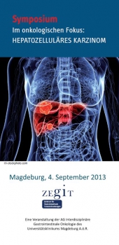 ZegitFortbildung2013