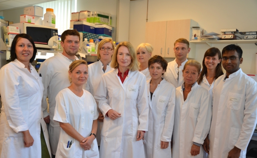 Brunner-Weinzierl-Team