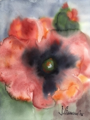 Mohn – Aquarell von Dr. Sabine Gummert
