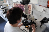 Frau am Mikroskop_Unimedizin MD
