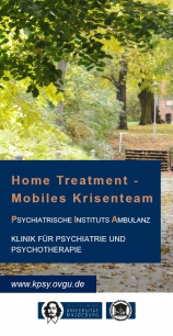 Home-Treatment Flyer