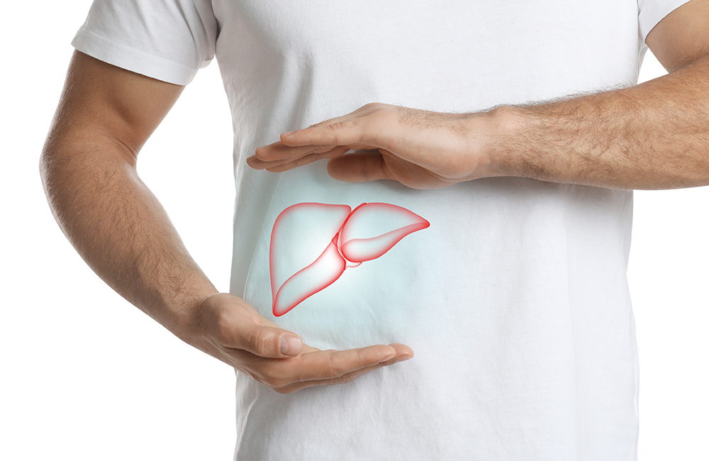 Lebertransplantation, © New Africa - stock.adobe.com