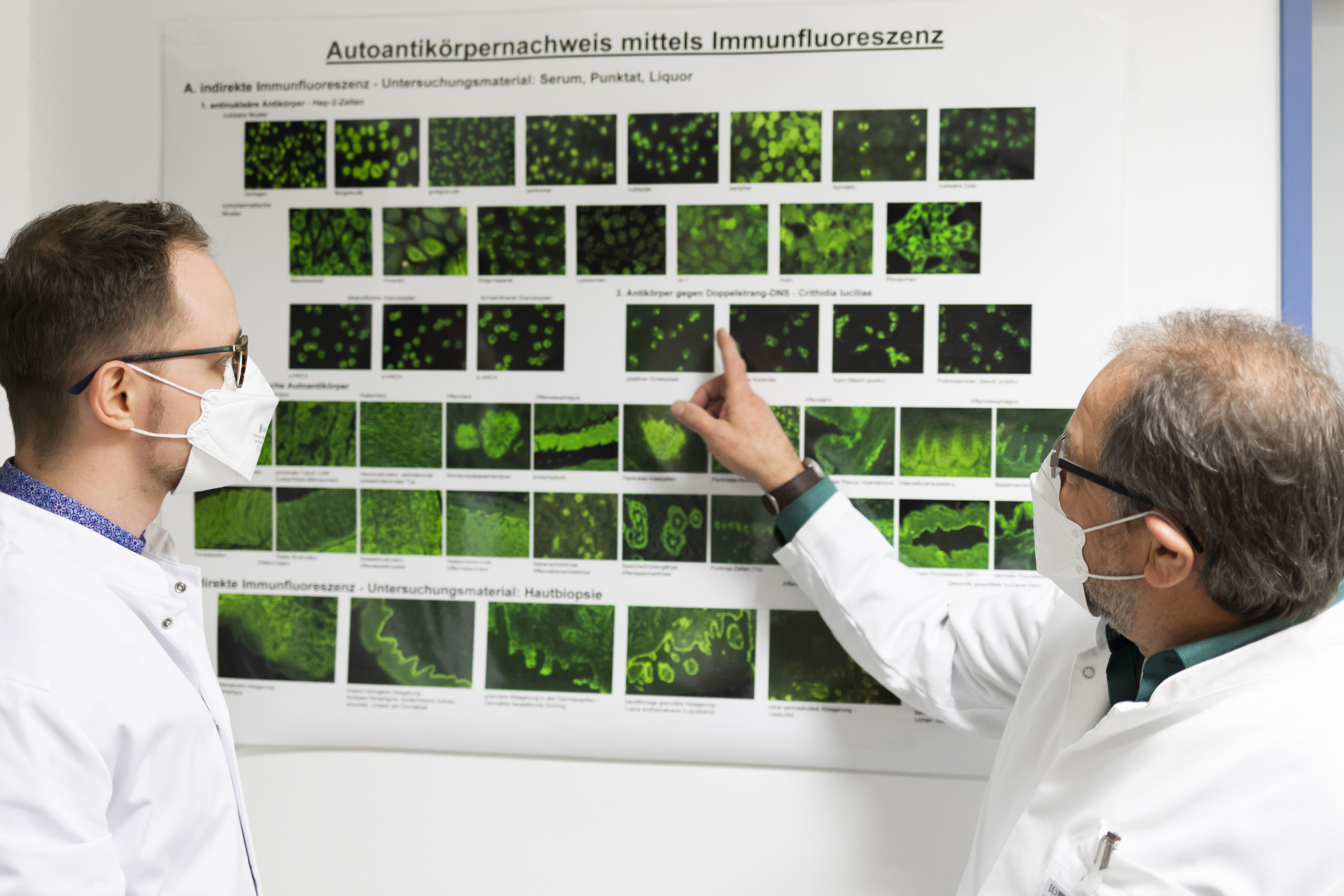 Prof. Schraven erläutert das Verfahren des Antikörpernachweises mittels Immunfluoreszenz