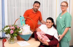 Bild zur Meldung