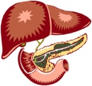 Pankreas_Logo
